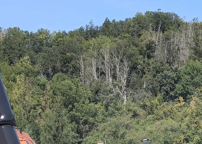 Ferienwohnung Mit Ausblick In Wimmelburg