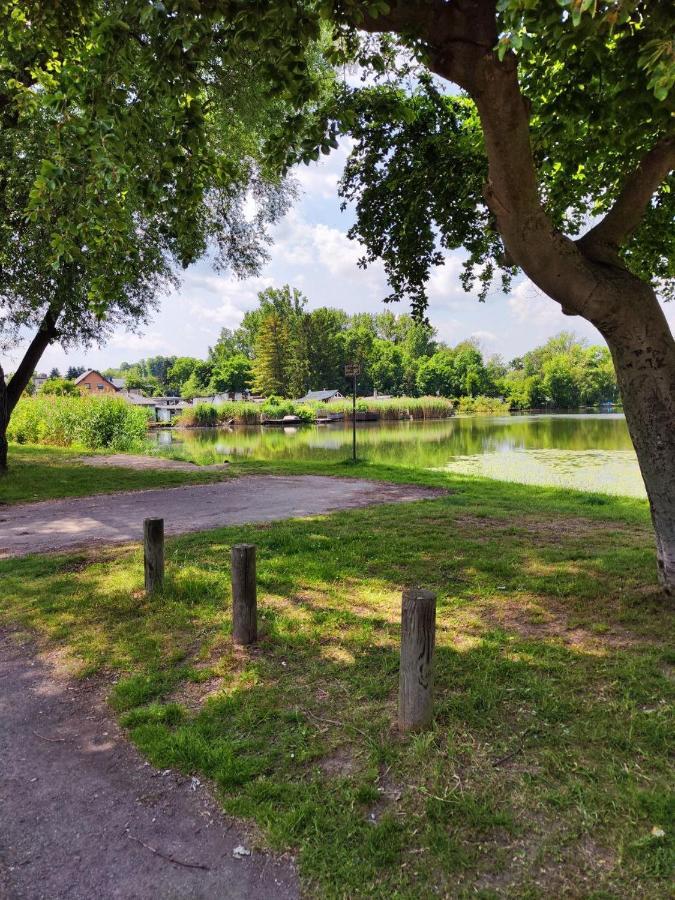 Mit Ausblick In Wimmelburg