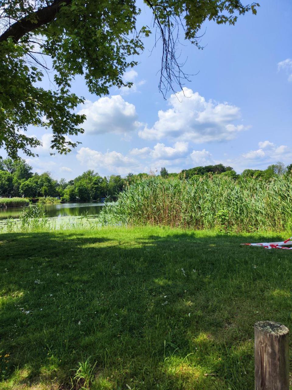 Mit Ausblick In