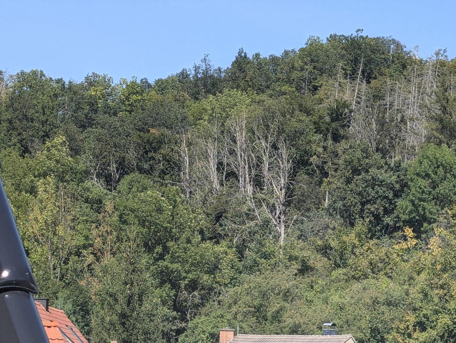 Mit Ausblick In Appartement Wimmelburg